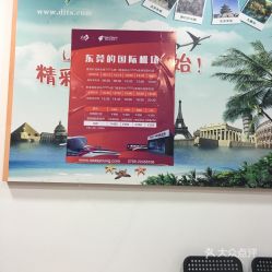 第一國際旅行社（東莞）團購服務全攻略 價格、地址、營業時間及國內旅游服務詳解